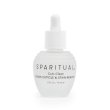 画像3: SPARITUAL アップルフルーツ 15ml (3)